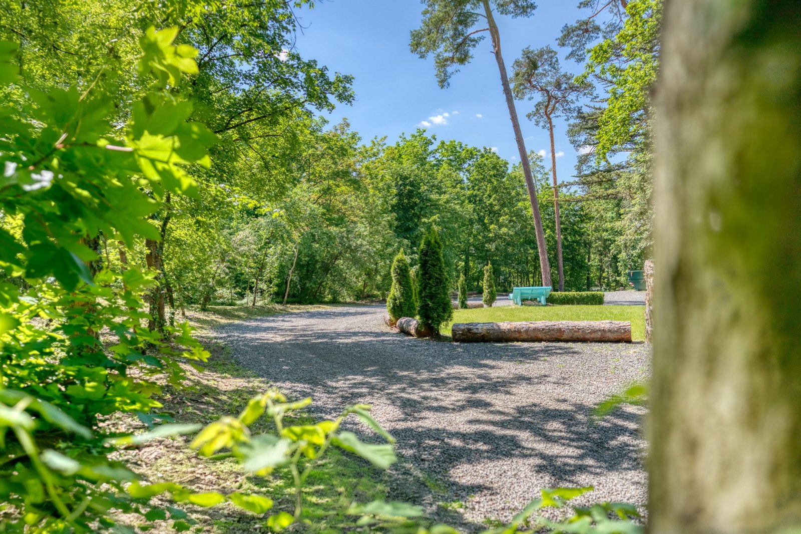 Gartenbereich für freie Trauungen zwischen Bäumen und Grün